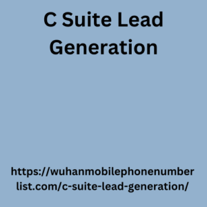 C Suite Lead Generation