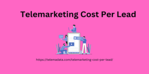 Telemarketing Cost Per Lead