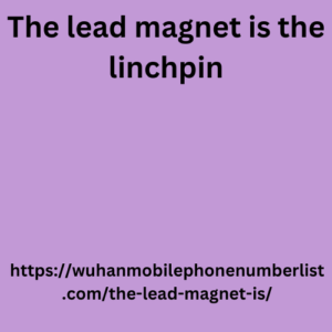 The lead magnet is the linchpin