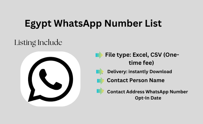 Egypt WhatsApp Number List