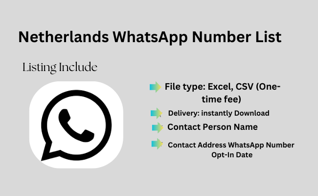 Netherlands WhatsApp Number List